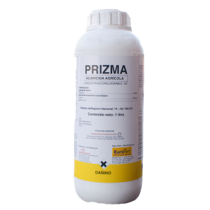Prizma