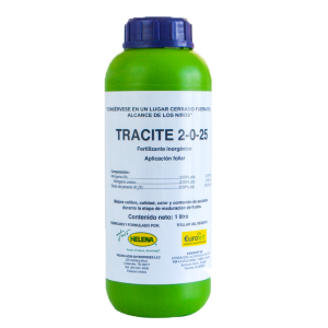 Tracite